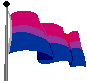 Bi Pride Flag
