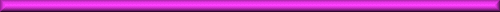 bisexual