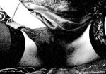 Lady M