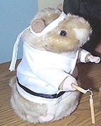Kung Fu Hamster